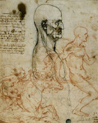 The facial proportions of a man in profile; study of soldiers and horses