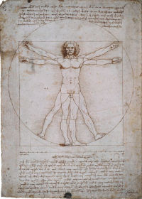 The proportions of the human body in the manner of Vitruvius (The Vitruvian Man) © Ministero per i Beni e le Attività Culturali, Polo Museale Veneziano